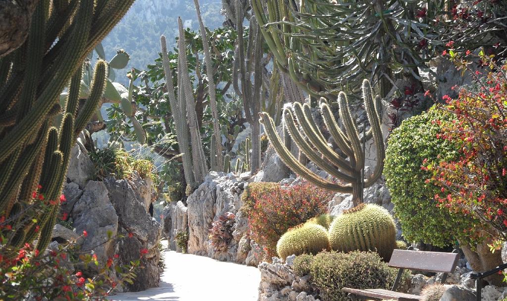 Jardin Exotic Monte Carlo.jpg - Jardin Exotique Monaco